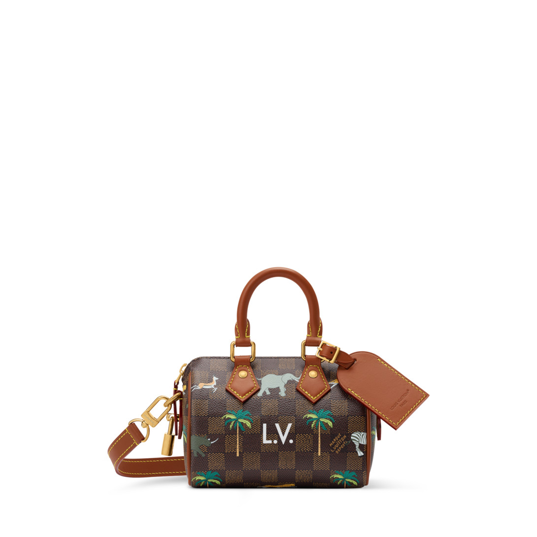 Speedy Bandoulière 18 x The Darjeeling Limited Damier Other - Bags